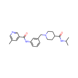 Cc1cncc(C(=O)Nc2cccc(CN3CCC(C(=O)NC(C)C)CC3)c2)c1 ZINC001772578775