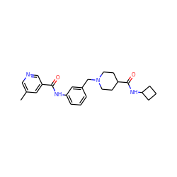 Cc1cncc(C(=O)Nc2cccc(CN3CCC(C(=O)NC4CCC4)CC3)c2)c1 ZINC001772602215