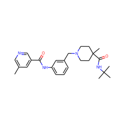 Cc1cncc(C(=O)Nc2cccc(CN3CCC(C)(C(=O)NC(C)(C)C)CC3)c2)c1 ZINC001772608220