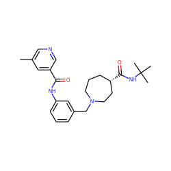 Cc1cncc(C(=O)Nc2cccc(CN3CCC[C@H](C(=O)NC(C)(C)C)CC3)c2)c1 ZINC000210578137