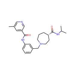 Cc1cncc(C(=O)Nc2cccc(CN3CCC[C@H](C(=O)NC(C)C)CC3)c2)c1 ZINC001772629855