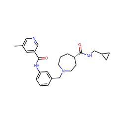 Cc1cncc(C(=O)Nc2cccc(CN3CCC[C@H](C(=O)NCC4CC4)CC3)c2)c1 ZINC001772629749