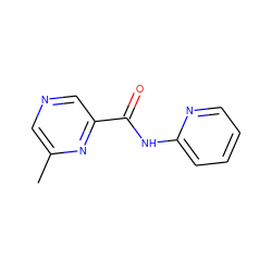 Cc1cncc(C(=O)Nc2ccccn2)n1 ZINC000028123513