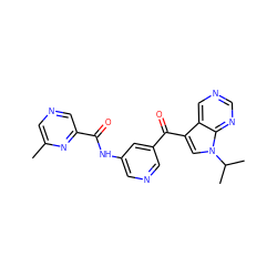 Cc1cncc(C(=O)Nc2cncc(C(=O)c3cn(C(C)C)c4ncncc34)c2)n1 ZINC000169707984