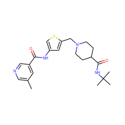 Cc1cncc(C(=O)Nc2csc(CN3CCC(C(=O)NC(C)(C)C)CC3)c2)c1 ZINC000210577949