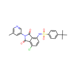 Cc1cncc(N2C(=O)c3c(Cl)ccc(NS(=O)(=O)c4ccc(C(C)(C)C)cc4)c3C2=O)c1 ZINC000653849929