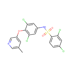 Cc1cncc(Oc2c(Cl)cc(NS(=O)(=O)c3ccc(Cl)cc3Cl)cc2Cl)c1 ZINC000095591617