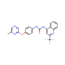 Cc1cncc(Oc2ccc(NC(=O)Nc3cc(C(F)(F)F)nc4ccccc34)cc2)n1 ZINC000064415698