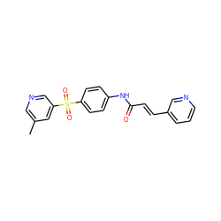 Cc1cncc(S(=O)(=O)c2ccc(NC(=O)/C=C/c3cccnc3)cc2)c1 ZINC000225946277