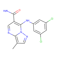 Cc1cnn2c(Nc3cc(Cl)cc(Cl)c3)c(C(N)=O)cnc12 ZINC000653801576