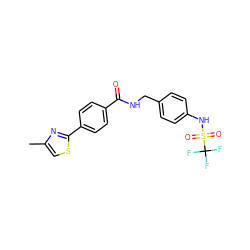 Cc1csc(-c2ccc(C(=O)NCc3ccc(NS(=O)(=O)C(F)(F)F)cc3)cc2)n1 ZINC000028978874