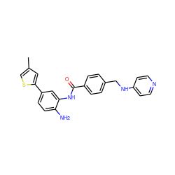 Cc1csc(-c2ccc(N)c(NC(=O)c3ccc(CNc4ccncc4)cc3)c2)c1 ZINC000141001938