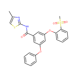 Cc1csc(NC(=O)c2cc(Oc3ccccc3)cc(Oc3ccccc3S(C)(=O)=O)c2)n1 ZINC000040900700