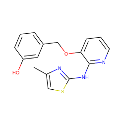 Cc1csc(Nc2ncccc2OCc2cccc(O)c2)n1 ZINC000096284840