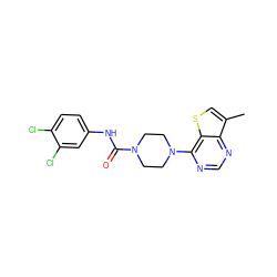 Cc1csc2c(N3CCN(C(=O)Nc4ccc(Cl)c(Cl)c4)CC3)ncnc12 ZINC000001027174