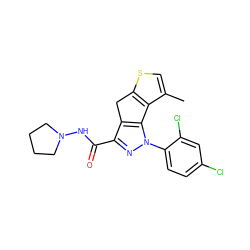 Cc1csc2c1-c1c(c(C(=O)NN3CCCC3)nn1-c1ccc(Cl)cc1Cl)C2 ZINC000299829379