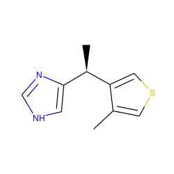 Cc1cscc1[C@H](C)c1c[nH]cn1 ZINC000000022736