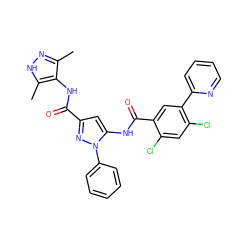 Cc1n[nH]c(C)c1NC(=O)c1cc(NC(=O)c2cc(-c3ccccn3)c(Cl)cc2Cl)n(-c2ccccc2)n1 ZINC001772624241