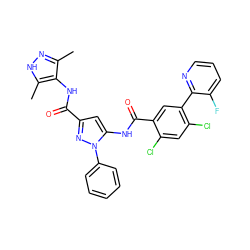 Cc1n[nH]c(C)c1NC(=O)c1cc(NC(=O)c2cc(-c3ncccc3F)c(Cl)cc2Cl)n(-c2ccccc2)n1 ZINC001772580932