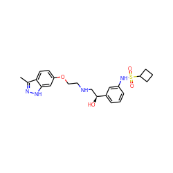 Cc1n[nH]c2cc(OCCNC[C@H](O)c3cccc(NS(=O)(=O)C4CCC4)c3)ccc12 ZINC000145070105