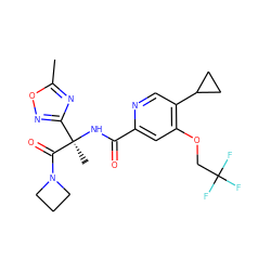 Cc1nc([C@@](C)(NC(=O)c2cc(OCC(F)(F)F)c(C3CC3)cn2)C(=O)N2CCC2)no1 ZINC000146543313