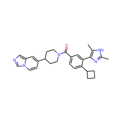 Cc1nc(-c2cc(C(=O)N3CCC(c4ccn5cncc5c4)CC3)ccc2C2CCC2)c(C)[nH]1 ZINC000218972009