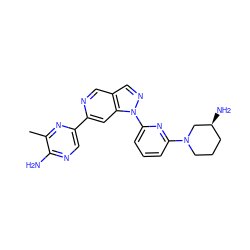 Cc1nc(-c2cc3c(cn2)cnn3-c2cccc(N3CCC[C@H](N)C3)n2)cnc1N ZINC000224853681