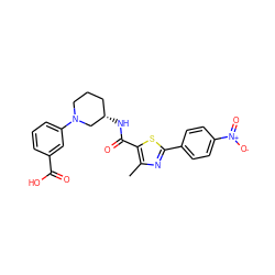 Cc1nc(-c2ccc([N+](=O)[O-])cc2)sc1C(=O)N[C@H]1CCCN(c2cccc(C(=O)O)c2)C1 ZINC000082157960