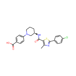 Cc1nc(-c2ccc(Cl)cc2)sc1C(=O)N[C@@H]1CCCN(c2ccc(C(=O)O)cc2)C1 ZINC000073224971