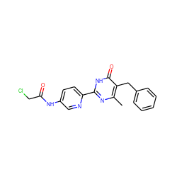 Cc1nc(-c2ccc(NC(=O)CCl)cn2)[nH]c(=O)c1Cc1ccccc1 ZINC000064527380