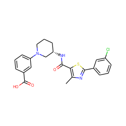 Cc1nc(-c2cccc(Cl)c2)sc1C(=O)N[C@H]1CCCN(c2cccc(C(=O)O)c2)C1 ZINC000073224221