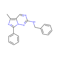 Cc1nc(-c2ccccc2)n2nc(NCc3ccccc3)ncc12 ZINC000040423673