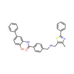 Cc1nc(-c2ccccc2)sc1CNCc1ccc(C(=O)Nc2cc(-c3ccccc3)ccc2O)cc1 ZINC000146377790