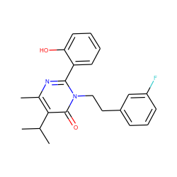 Cc1nc(-c2ccccc2O)n(CCc2cccc(F)c2)c(=O)c1C(C)C ZINC000028522648