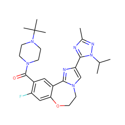 Cc1nc(-c2cn3c(n2)-c2cc(C(=O)N4CCN(C(C)(C)C)CC4)c(F)cc2OCC3)n(C(C)C)n1 ZINC000204428898