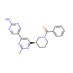 Cc1nc(-c2cnc(N)nc2)cc([C@@H]2CCCN(C(=O)c3ccccc3)C2)n1 ZINC000221281941