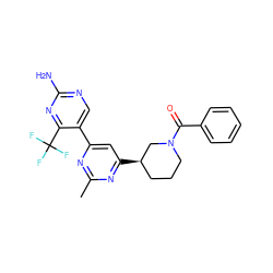 Cc1nc(-c2cnc(N)nc2C(F)(F)F)cc([C@@H]2CCCN(C(=O)c3ccccc3)C2)n1 ZINC000221282081