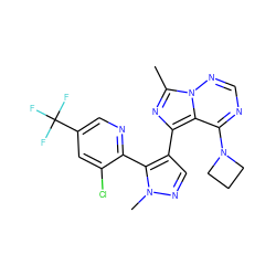 Cc1nc(-c2cnn(C)c2-c2ncc(C(F)(F)F)cc2Cl)c2c(N3CCC3)ncnn12 ZINC000169697366