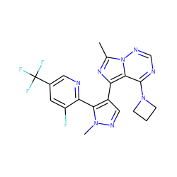 Cc1nc(-c2cnn(C)c2-c2ncc(C(F)(F)F)cc2F)c2c(N3CCC3)ncnn12 ZINC000169697368