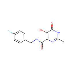 Cc1nc(C(=O)NCc2ccc(F)cc2)c(O)c(=O)[nH]1 ZINC000014979594