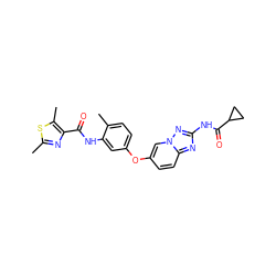 Cc1nc(C(=O)Nc2cc(Oc3ccc4nc(NC(=O)C5CC5)nn4c3)ccc2C)c(C)s1 ZINC000096916324