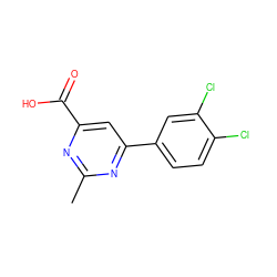 Cc1nc(C(=O)O)cc(-c2ccc(Cl)c(Cl)c2)n1 ZINC000011729784