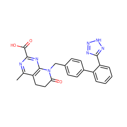 Cc1nc(C(=O)O)nc2c1CCC(=O)N2Cc1ccc(-c2ccccc2-c2nn[nH]n2)cc1 ZINC000013444043