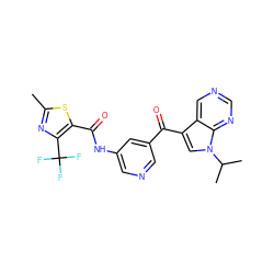 Cc1nc(C(F)(F)F)c(C(=O)Nc2cncc(C(=O)c3cn(C(C)C)c4ncncc34)c2)s1 ZINC000169707923