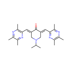 Cc1nc(C)c(/C=C2\CN(C(C)C)C/C(=C\c3nc(C)c(C)nc3C)C2=O)nc1C ZINC001772588255