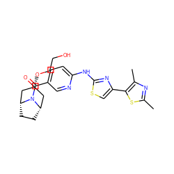 Cc1nc(C)c(-c2csc(Nc3ccc(C(=O)N4[C@H]5CC[C@@H]4C[C@H](OCCO)C5)cn3)n2)s1 ZINC001772571462