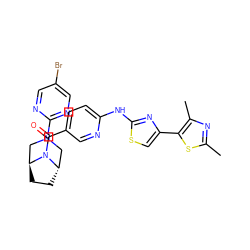 Cc1nc(C)c(-c2csc(Nc3ccc(C(=O)N4[C@H]5CC[C@H]4CN(c4ncc(Br)cn4)C5)cn3)n2)s1 ZINC001772615875