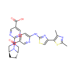 Cc1nc(C)c(-c2csc(Nc3ccc(C(=O)N4[C@H]5CC[C@H]4CN(c4ncc(C(=O)O)cn4)C5)cn3)n2)s1 ZINC001772625461