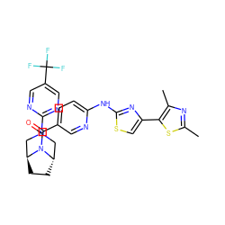 Cc1nc(C)c(-c2csc(Nc3ccc(C(=O)N4[C@H]5CC[C@H]4CN(c4ncc(C(F)(F)F)cn4)C5)cn3)n2)s1 ZINC001772654687