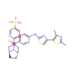 Cc1nc(C)c(-c2csc(Nc3ccc(C(=O)N4[C@H]5CC[C@H]4CN(c4ncc(S(C)(=O)=O)cn4)C5)cn3)n2)s1 ZINC001772606813